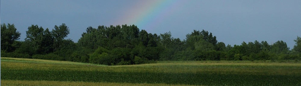 Mybees ro Blog Apicol Apicultura Miere Produsa Cu Drag Mybees ro Blog Apicol Apicultura Miere Produsa Cu Drag